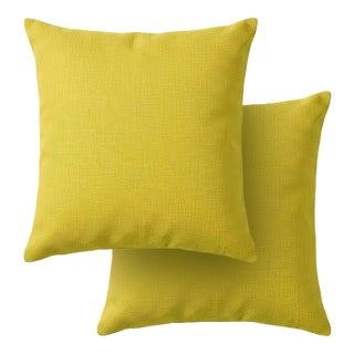 Outdoors and Indoors Contemporary Lemon Yellow Square Pillows by Arlene Angard, Set of 2 For Sale