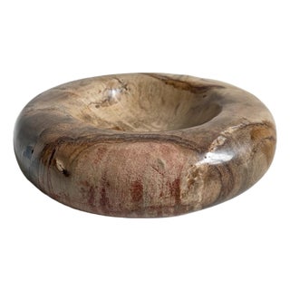 Petrified Wood Organic Modern Vintage Decorative Bowl For Sale