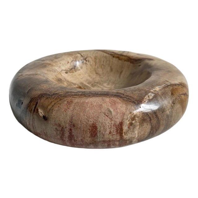 Petrified Wood Organic Modern Vintage Decorative Bowl For Sale