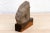 The Sacred Bull, Antique Indian Stone Sculpture For Sale In Los Angeles - Image 6 of 9
