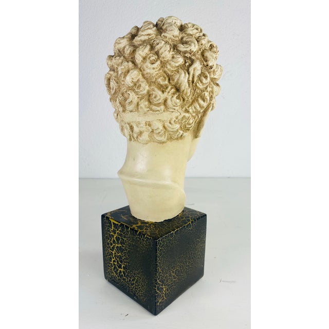 Mid 20th Century Classical Greco Roman Plaster Bust For Sale - Image 9 of 10