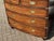 Victorian Campaign Chest with Brass Handles For Sale - Image 12 of 13