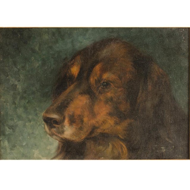 A brown dog portrait in a wooden frame. - Oil on canvas, signed indistinguishably lower right, "B......" - Framed...