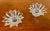 Mikasa Mikasa "Bridgeton" Starburst Candle Holders a Pair For Sale - Image 4 of 10