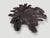 Andrianna Shamaris Impressive Sculptural Teak Wood Root Coffee Table For Sale - Image 9 of 18