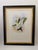 Traditional 1990s Framed Prints, Set of 4, Swallow-Tail, Refulgent Wood Nymph, Black-Banded Wood Nymph, Blue-Crowned Wood Nymph Hummingbird Hill House Editions For Sale - Image 3 of 17