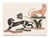 An interesting pair of 60’s animal transfers reimagined to an almost life-size perspective printed on fine art acid free...