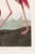 Pink Flamingo (Audubon, Birds of America), Vintage Art Print Reproduction, 32" X 48" For Sale In Buffalo - Image 6 of 12