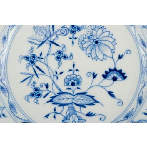 Blue Onion Pattern Dinner Plates in Porcelain from Meissen, Germany, Set of 4 For Sale - Image 5 of 7