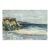 California Seascape, Botanical Study - Double Sided Mid Century Watercolor by Doris Warner For Sale