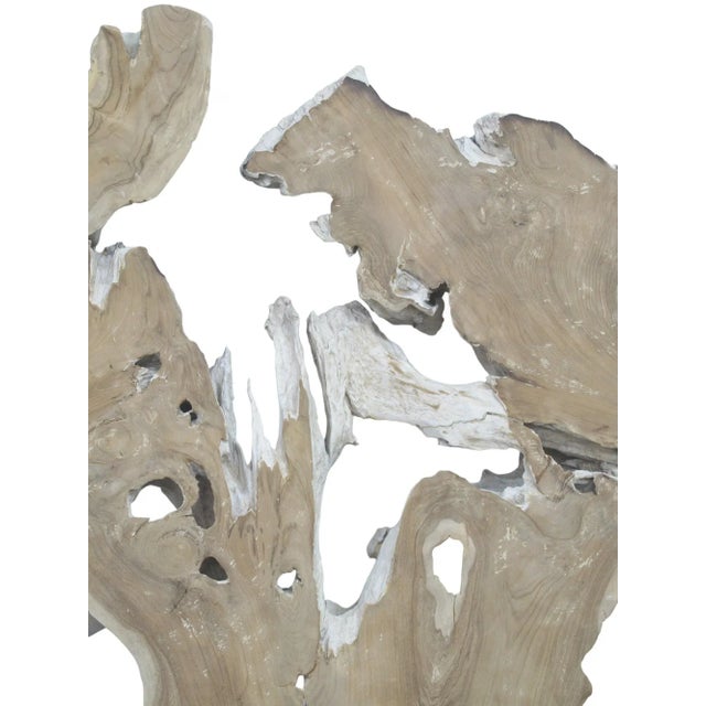 2020s Organic Teak Root Sculpture Wall Art 12 For Sale - Image 5 of 6