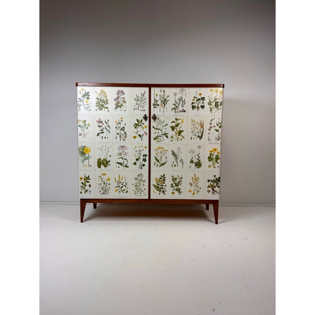 1940’s Swedish Cabinet With Nordens Flora Illustrations For Sale - Image 11 of 11