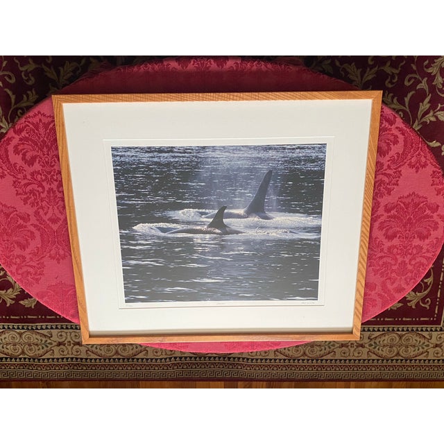 Stunning, highly collectible limited-edition color photographic print titled "Orcas" by legendary American wildlife and...