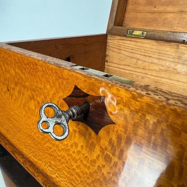 Historicism Box in Floral Ash Veneer and Rosewood, Austria, 1880s For Sale - Image 15 of 18