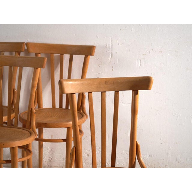 A set of four antique chairs in bentwood, with a curved crest rail over vertical splats and a moulded board seat....