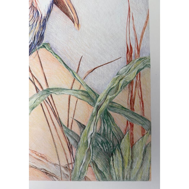 1987, Pelican, Offset Lithograph Print, Artist Louise Freshman Brown For Sale - Image 4 of 6