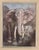 Elephant with cub Signed: “Paul Jouvé” (1878 -1973) Colored graphics with passepartout and new frame. Height: 57 cm |...