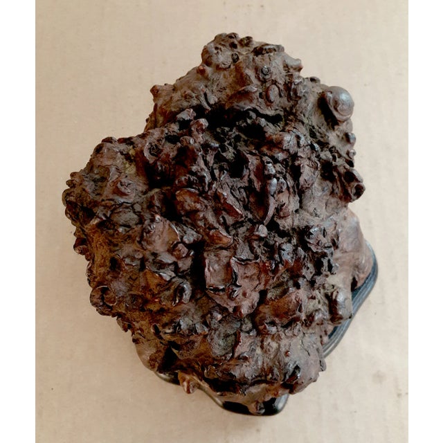 Wood Early 20th Century Chinese Burlwood Censer For Sale - Image 7 of 9