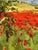Modern Aubusson Tapestry by Artdad, 1980s For Sale - Image 4 of 18