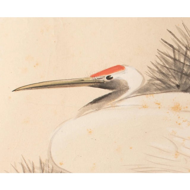 Tan Late Meiji to Early Showa Era Japanese Watercolor Painting, "Red-Crowned Crane and the Pine Tree" For Sale - Image 8 of 12