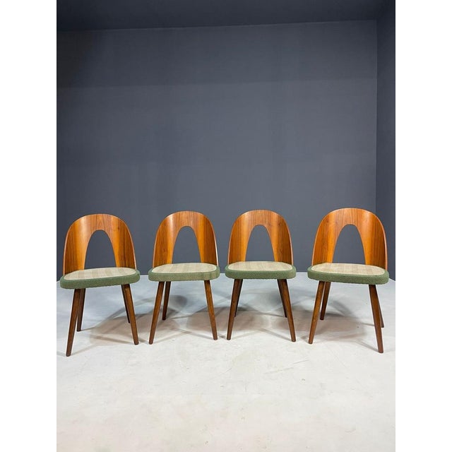 Vintage Dining Chairs by Antonín Šuman for Tatra, 1960s, Set of 4 For Sale - Image 6 of 11