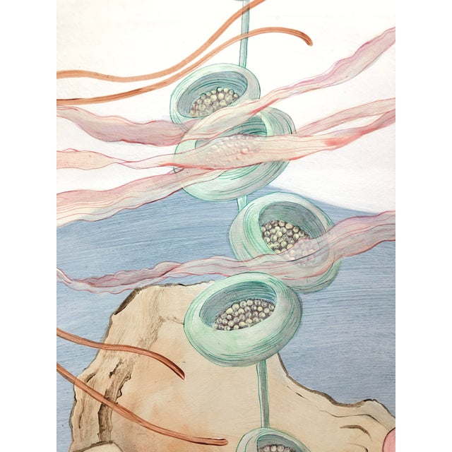 "An Octopus's Garden and Don't be Jelly" Contemporary Jellyfish and Octopus Acrylic Diptych Paintings by Allison Cosmo - a Pair s For Sale In Philadelphia - Image 6 of 10