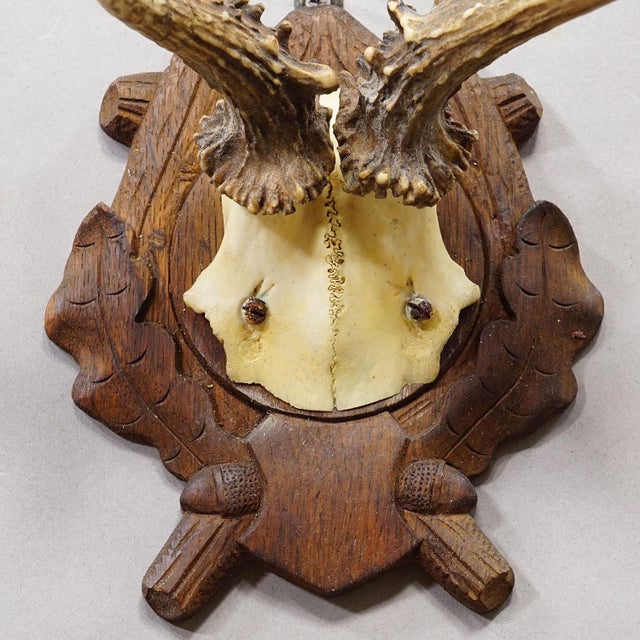 Antique Black Forest Red Deer Trophy on Carved Plaque, Germany 1938 For Sale - Image 4 of 5