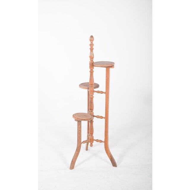 Wood Circular Flower Plant Support, 1950s For Sale - Image 7 of 7