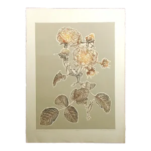 Catherine O'Connor "Southern Rose Ii" Hand Signed & Numbered Fine Art Etching