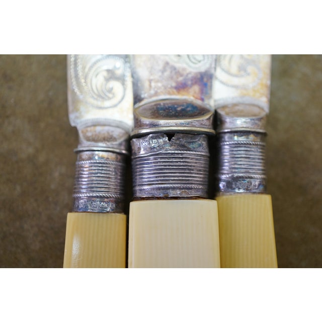 Late 19th Century Antique Victorian Silverplate Celluloid Fork Knife Fish Serving Set With Box - 27 pcs For Sale - Image 5 of 18