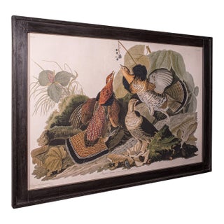 Vintage Ruffed Grouse Picture, English, Framed Print, Jj Audubon, Wildlife Art For Sale