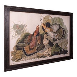Vintage Ruffed Grouse Picture, English, Framed Print, Jj Audubon, Wildlife Art