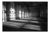 Paul Cooklin, Window Light, Edition of 50 For Sale