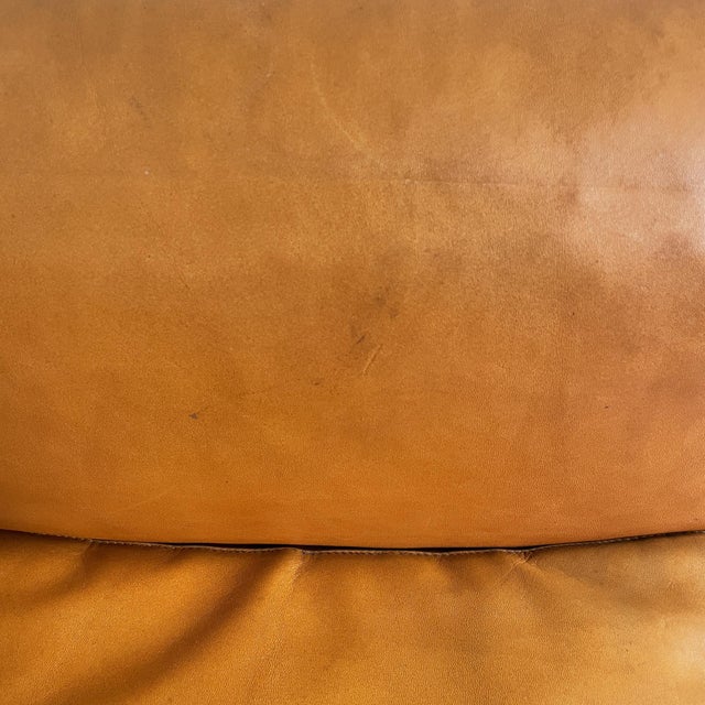 Brown Mid-Century Modern Italian Bastiano Sofa by Afra and Tobia Scarpa for Gavina, 1960s For Sale - Image 8 of 18