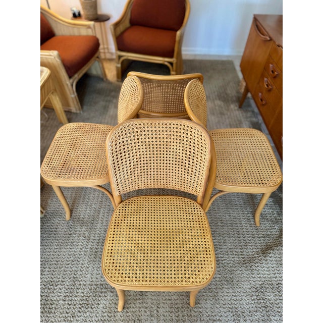 Wood Set of Four Iconic Cane Bentwood Chairs Designed by Josef Hoffmann, Model No. 811, and Produced by Fmg, Circa 1960s. For Sale - Image 7 of 12