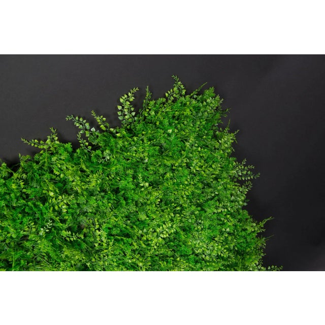 The opportunity to have a unique and enviable vertical garden is here! The vertical garden is the answer for those who...