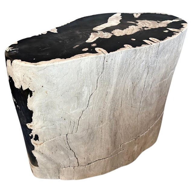 Impressive beautiful contrasting markings on this high quality ancient petrified wood side table. It’s fascinating how...