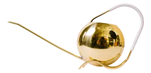Vintage Water Can in Brass, 1950s