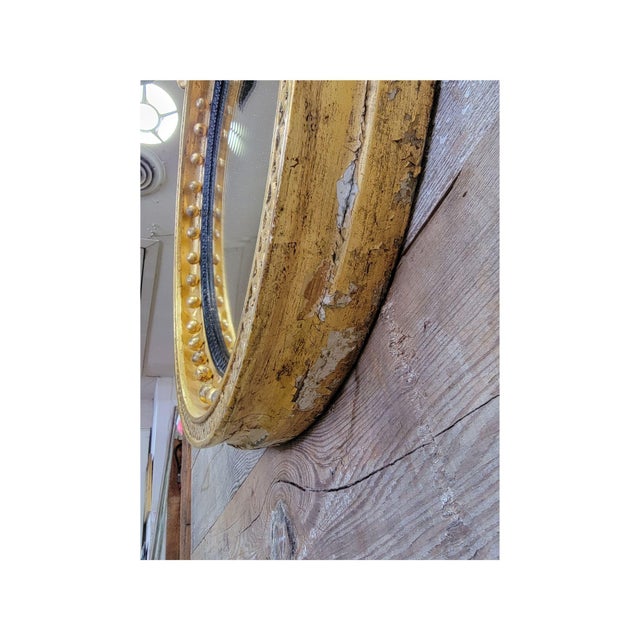 Wood A Carved and Gilded English Regency Convex Mirror For Sale - Image 7 of 13