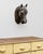 Metal Antique Zinc Horse Head, 1900 For Sale - Image 7 of 7