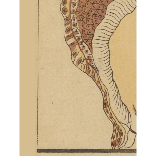 Vintage Japanese Shell, Woodblock Print Reproduction, 40" X 60" For Sale - Image 4 of 12
