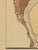 Vintage Japanese Shell, Woodblock Print Reproduction, 40" X 60" For Sale - Image 4 of 12