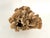 Chinoiserie Natural Unbleached Poca Coral Specimen For Sale - Image 3 of 8