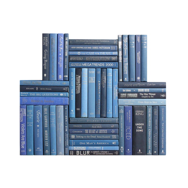 Decorative Books - Denim & Silver Book Wall - Set of 50 Blue Books For Sale
