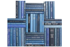 Decorative Books - Denim & Silver Book Wall - Set of 50 Blue Books