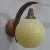 Mid-Century Danish Teak & Plastic Wall Lamp For Sale - Image 4 of 6
