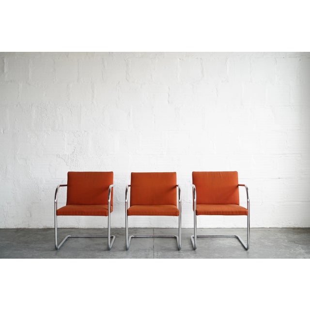 Mid 20th Century Mid 20th Century Mies Van Der Rohe Brno Chairs For Sale - Image 5 of 5