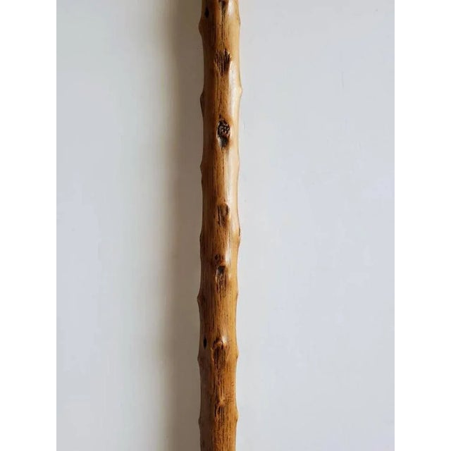 Wood Early 20th Century Hand Carved Italian Greyhound Walking Cane For Sale - Image 7 of 11