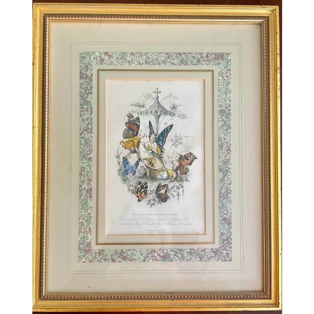 Mid 19th Century “Les Fleurs Animées” Original Hand-Painted Antique French Lithographs 1846, Set of 6, Framed For Sale - Image 4 of 12