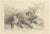 Resting Wild Boar, 1740, Paper For Sale - Image 6 of 6